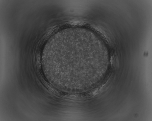 X0000095511396200801041149