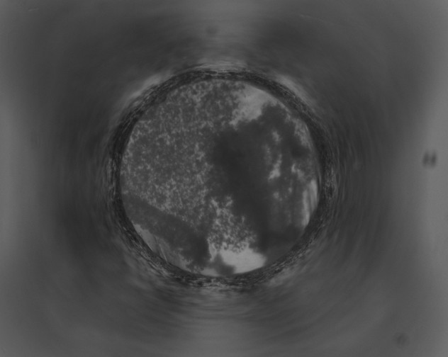 X0000095511398200801041149