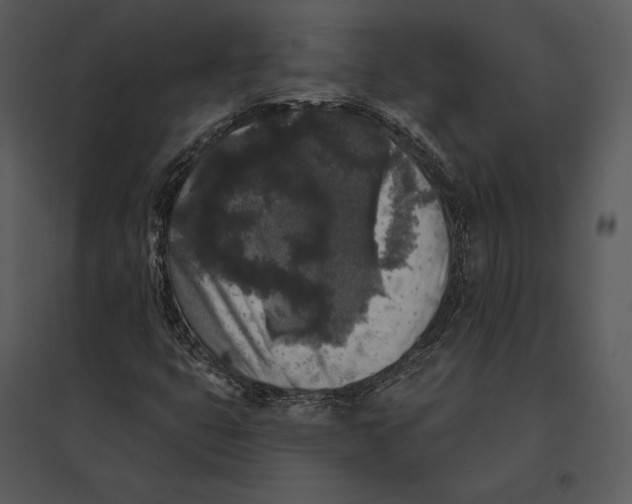 X0000095511399200801041149
