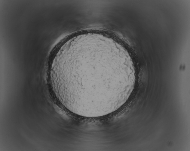 X0000095511400200801041149