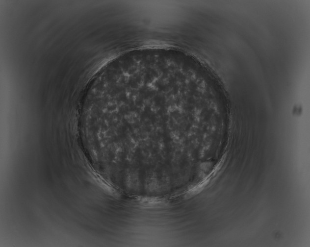 X0000095511401200801041149