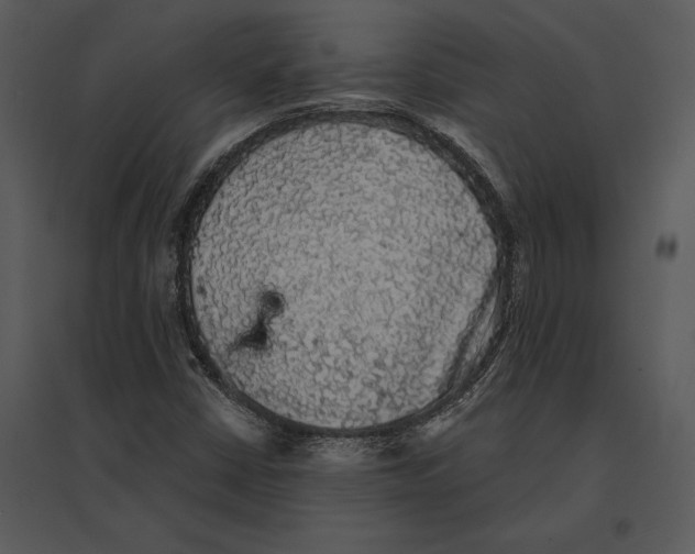 X0000095511402200801041149