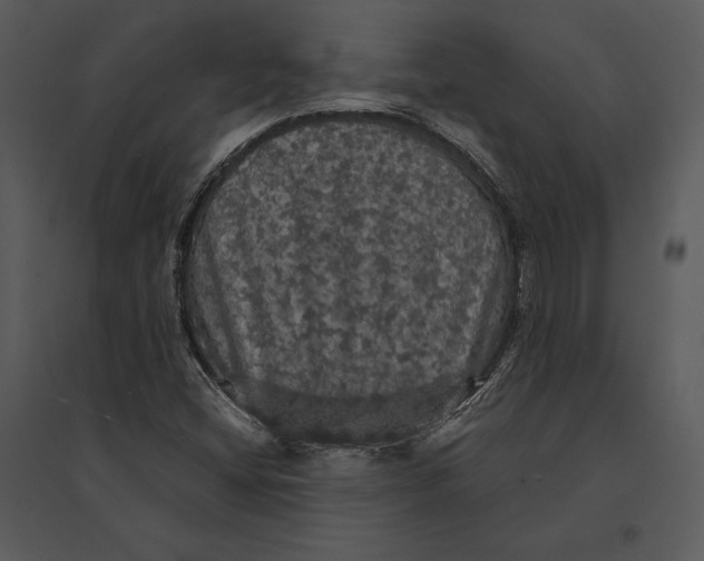 X0000095511404200801041149