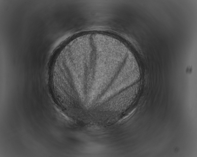 X0000095511406200801041149