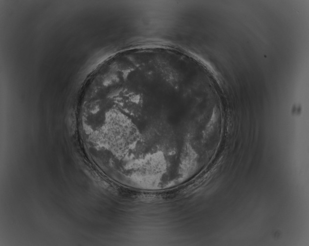 X0000095511407200801041149