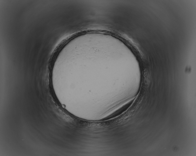 X0000095511408200801041149