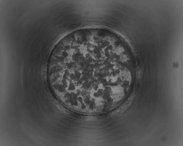 X0000095511409200801041149