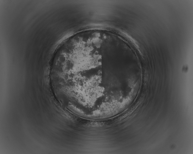 X0000095511411200801041149