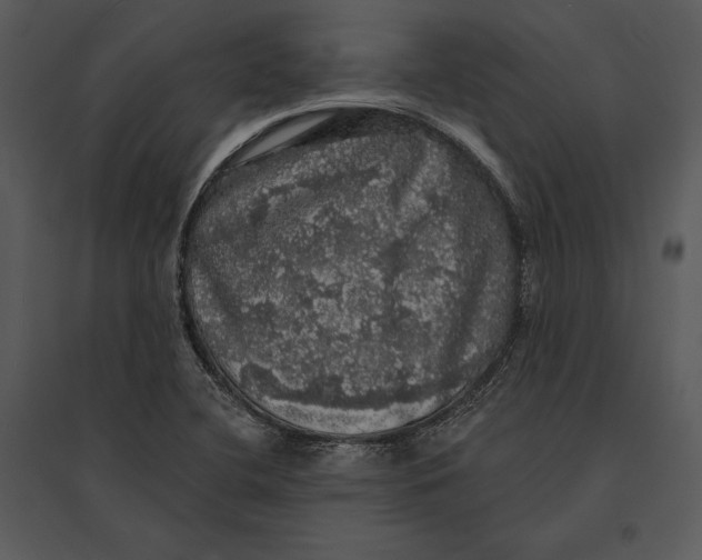 X0000095511412200801041149