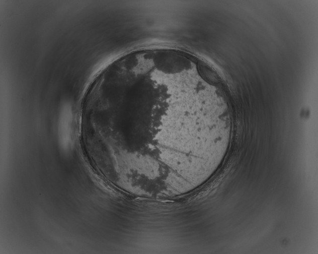 X0000095511413200801041149