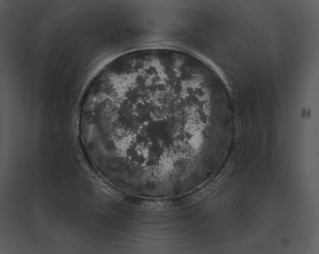 X0000095511415200801041149