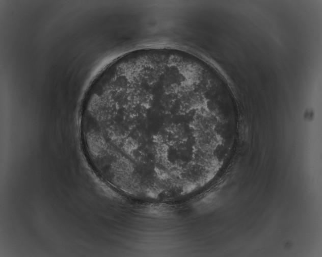 X0000095511416200801041149