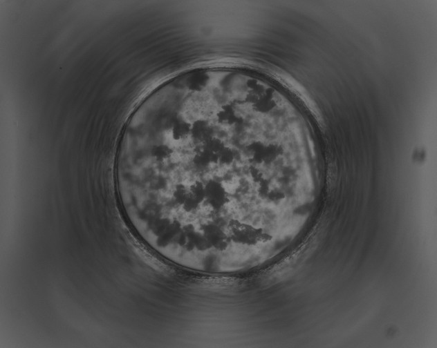 X0000095511417200801041149