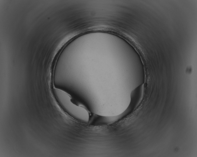 X0000095511418200801041149
