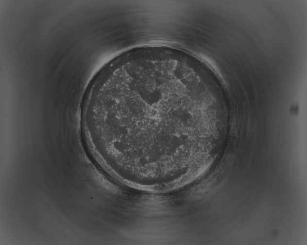 X0000095511420200801041149