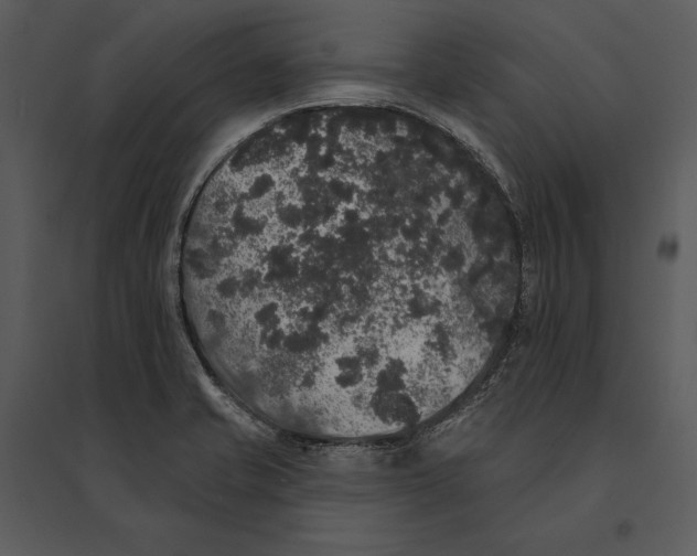 X0000095511421200801041149