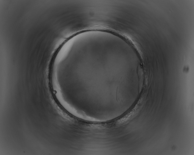 X0000095511422200801041149