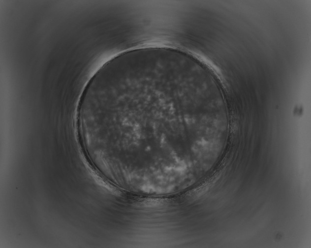 X0000095511423200801041149