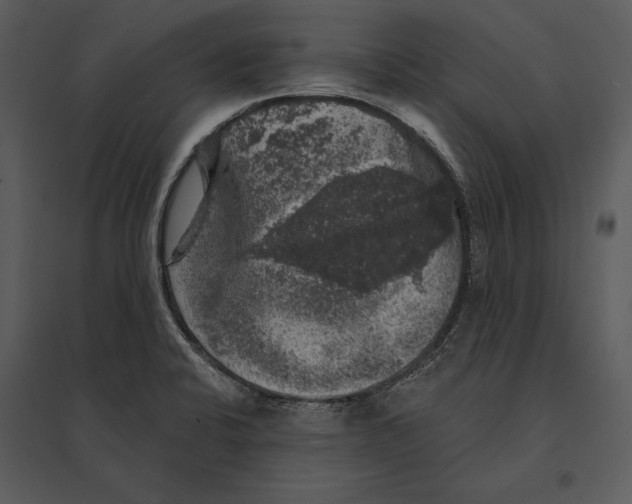 X0000095511424200801041149