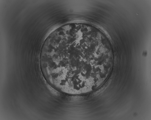 X0000095511425200801041149