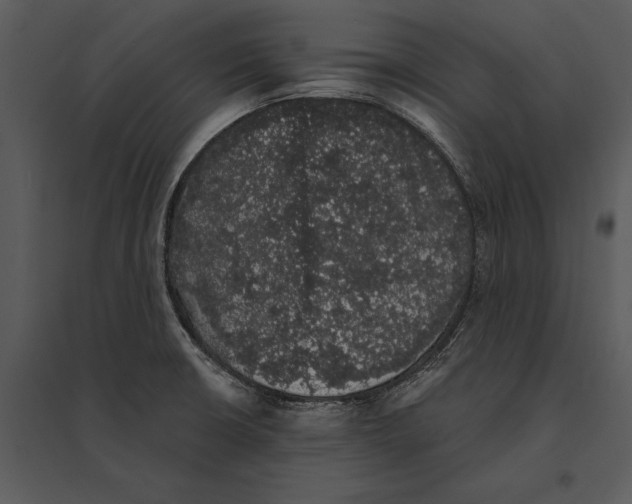 X0000095511426200801041149