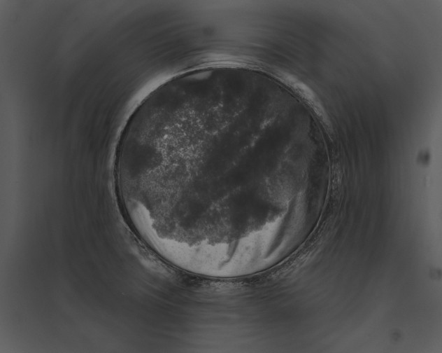 X0000095511427200801041149