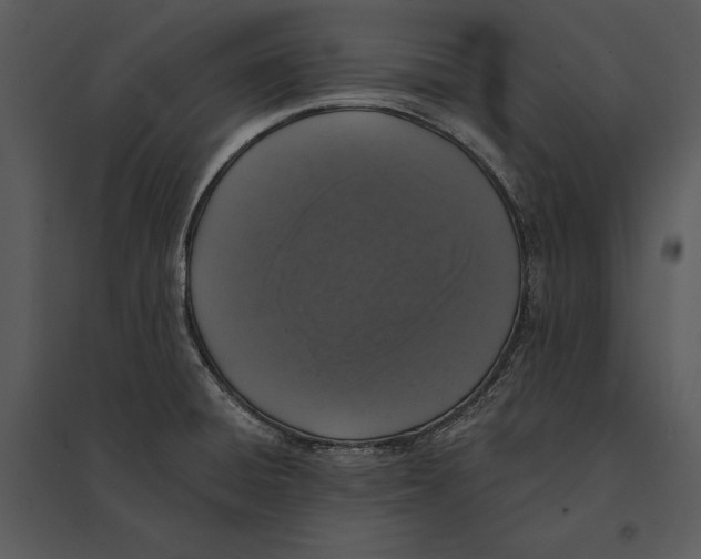 X0000095511428200801041149