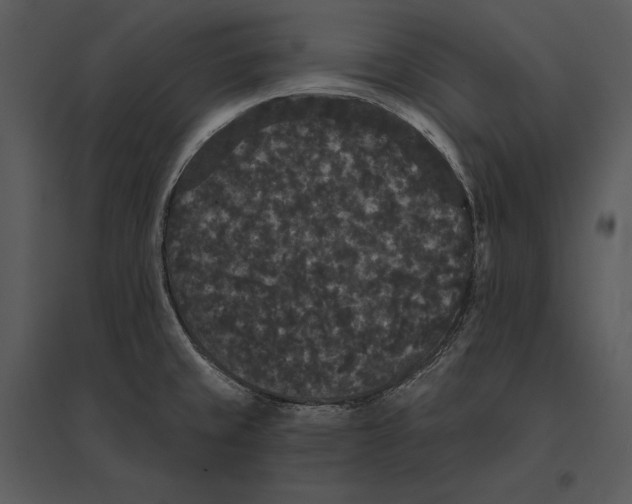 X0000095511429200801041150