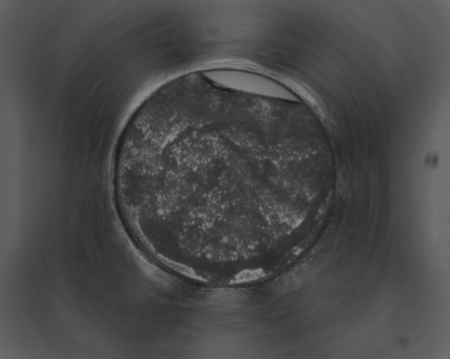 X0000095511430200801041150