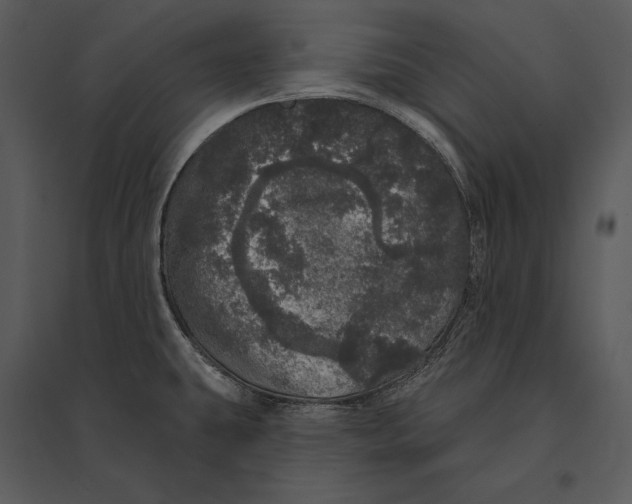 X0000095511431200801041150