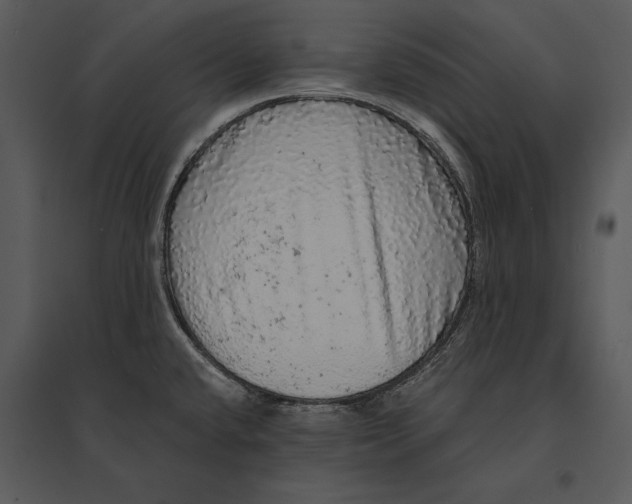 X0000095511432200801041150