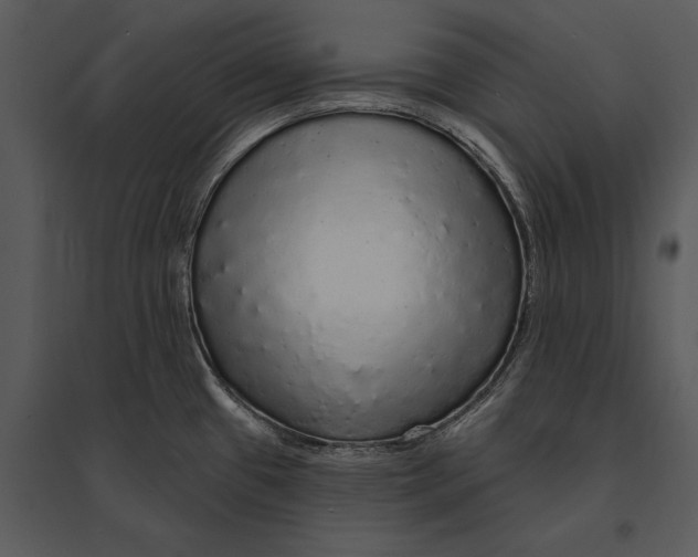 X0000095511433200801041150
