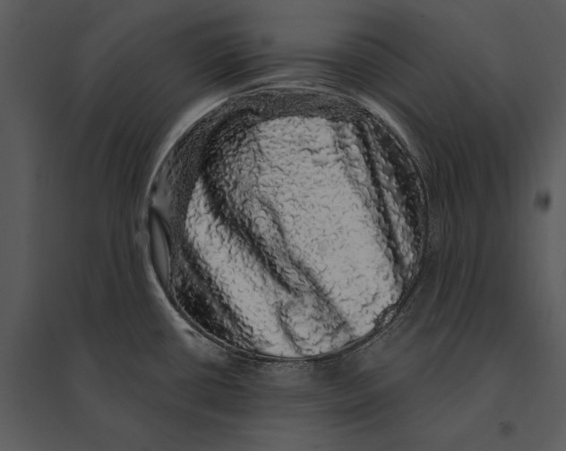 X0000095511434200801041150