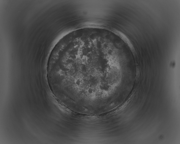 X0000095511435200801041150