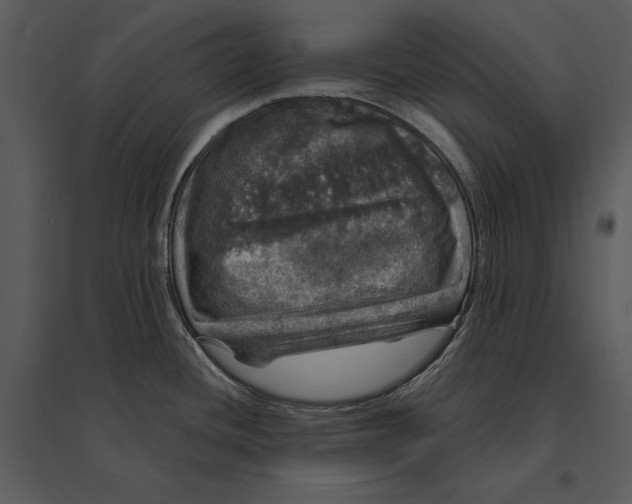 X0000095511436200801041150