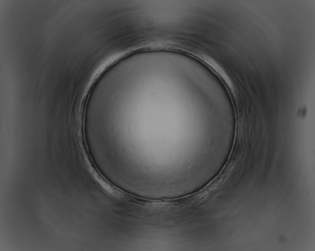 X0000095511437200801041150