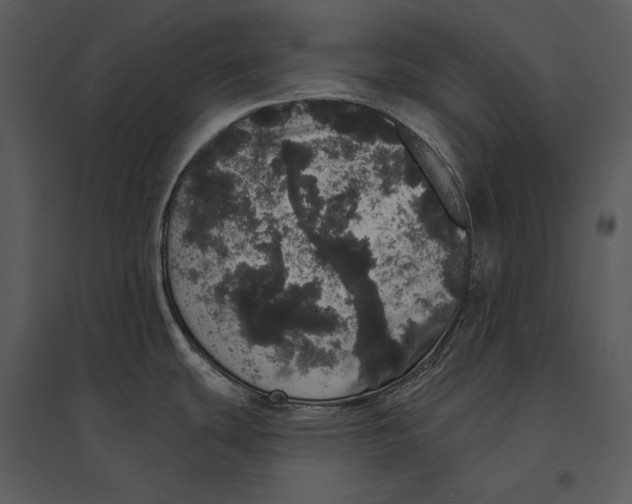 X0000095511439200801041150