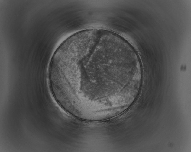 X0000095511440200801041150