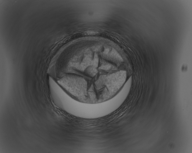 X0000095511441200801041149