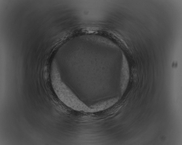 X0000095511442200801041149