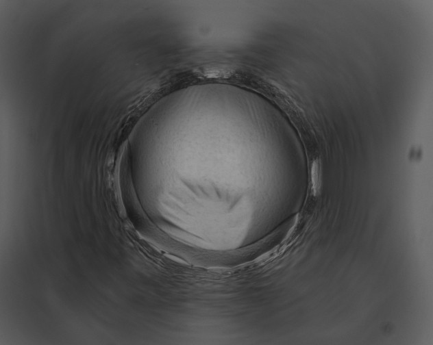 X0000095511443200801041149