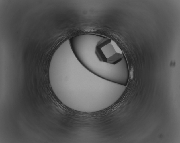 X0000095511444200801041149