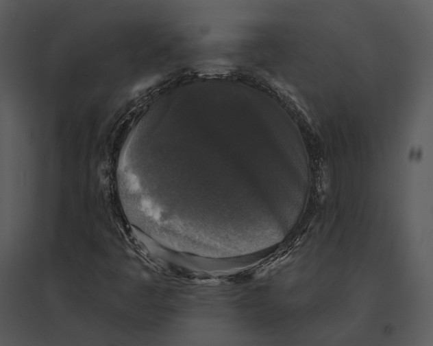 X0000095511445200801041149