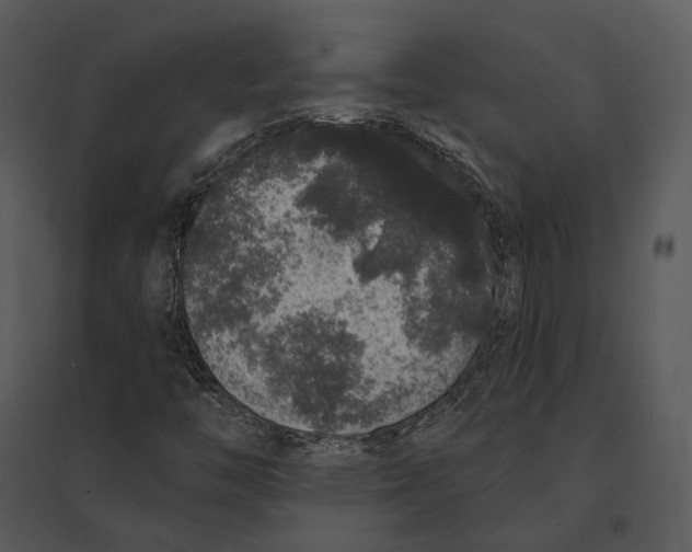 X0000095511446200801041149