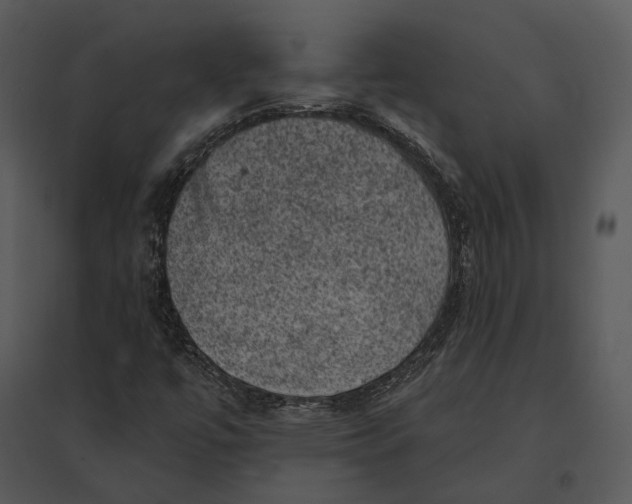 X0000095511447200801041149