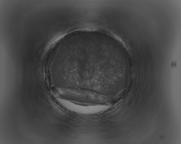 X0000095511448200801041149