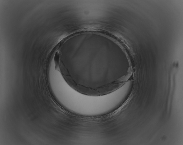 X0000095511449200801041149
