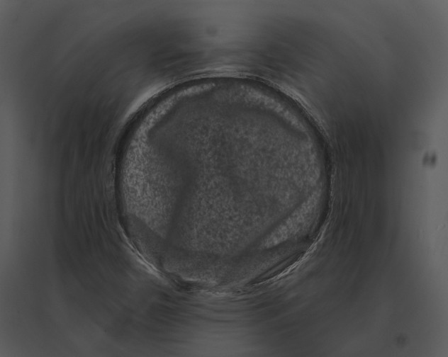 X0000095511450200801041149