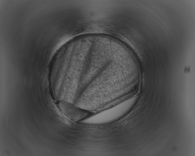 X0000095511452200801041149