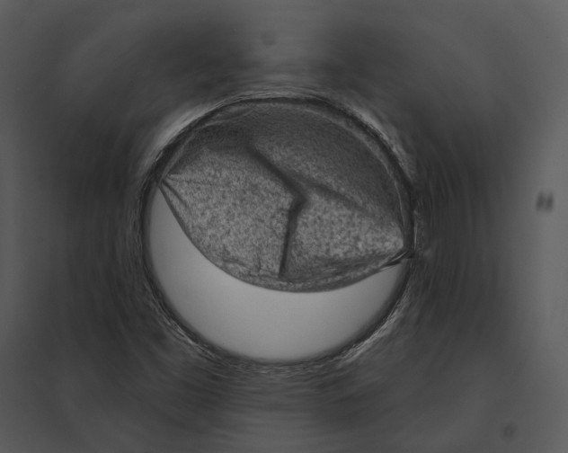 X0000095511453200801041149